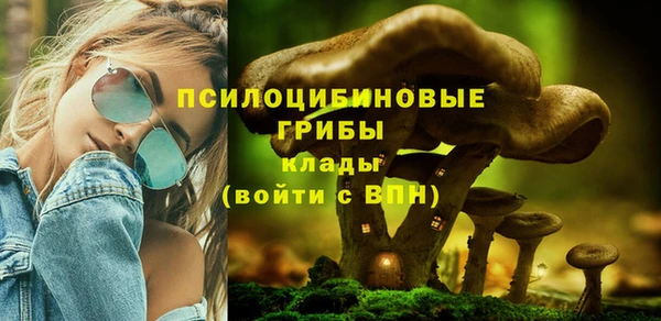 прущая мука Бородино