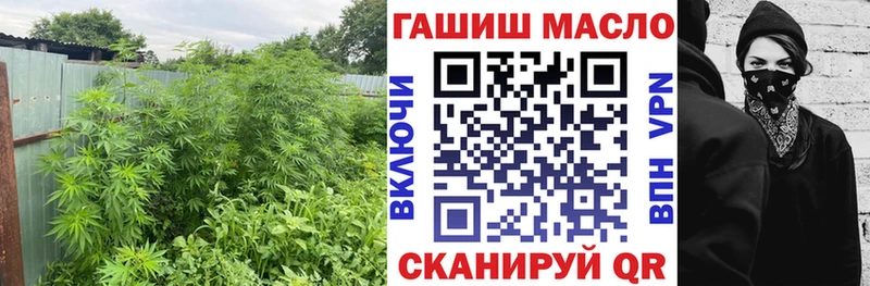 купить наркотики цена  Ростов  Дистиллят ТГК Wax 